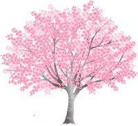 イラスト 桜の木 春